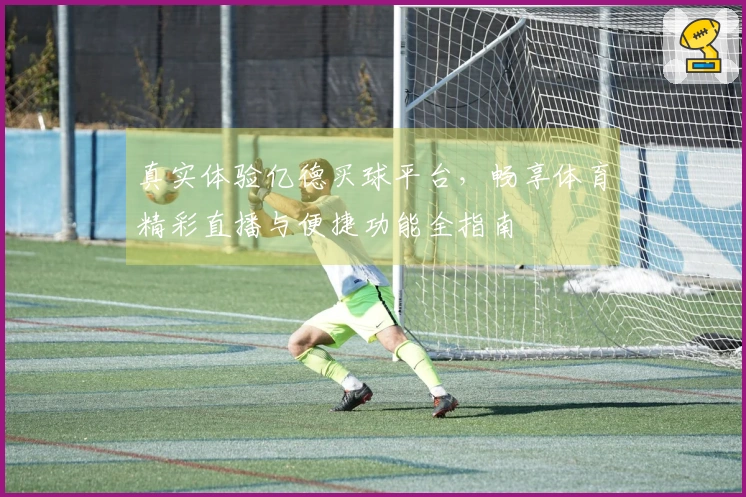 真实体验亿德买球平台，畅享体育精彩直播与便捷功能全指南