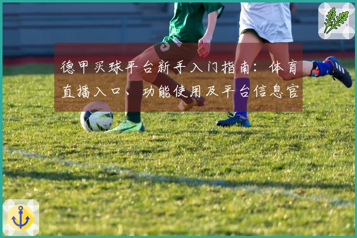 德甲买球平台新手入门指南：体育直播入口、功能使用及平台信息官方说明